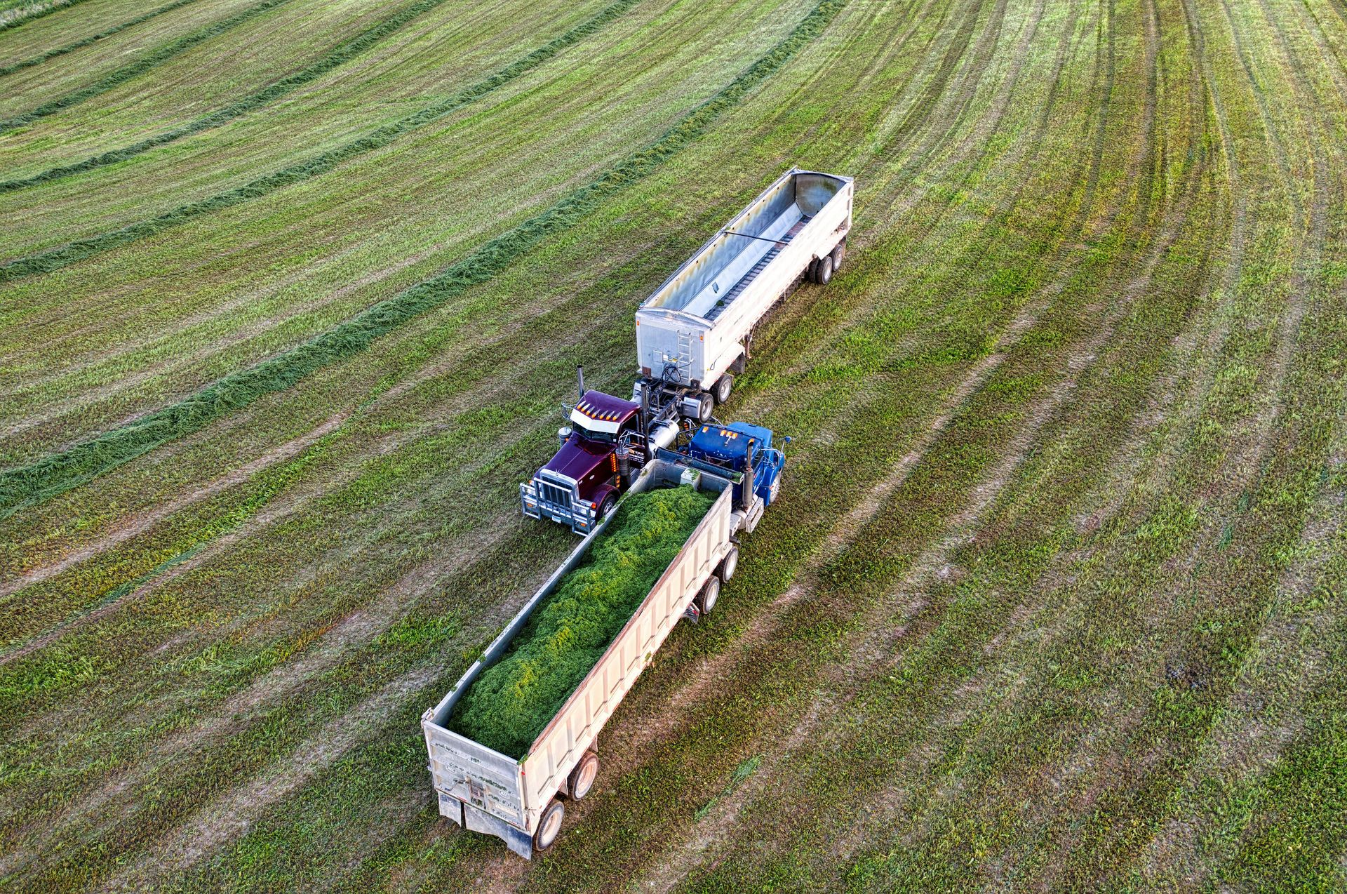 Contract farming field operation
