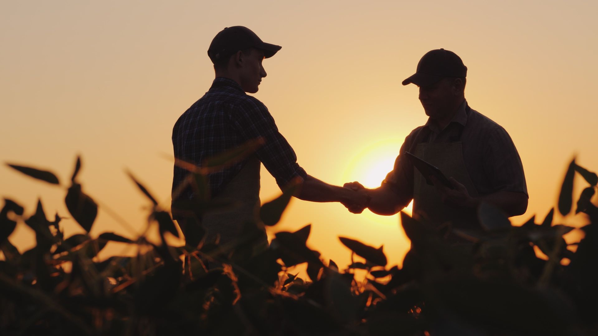 Agricultural input provider and farmer